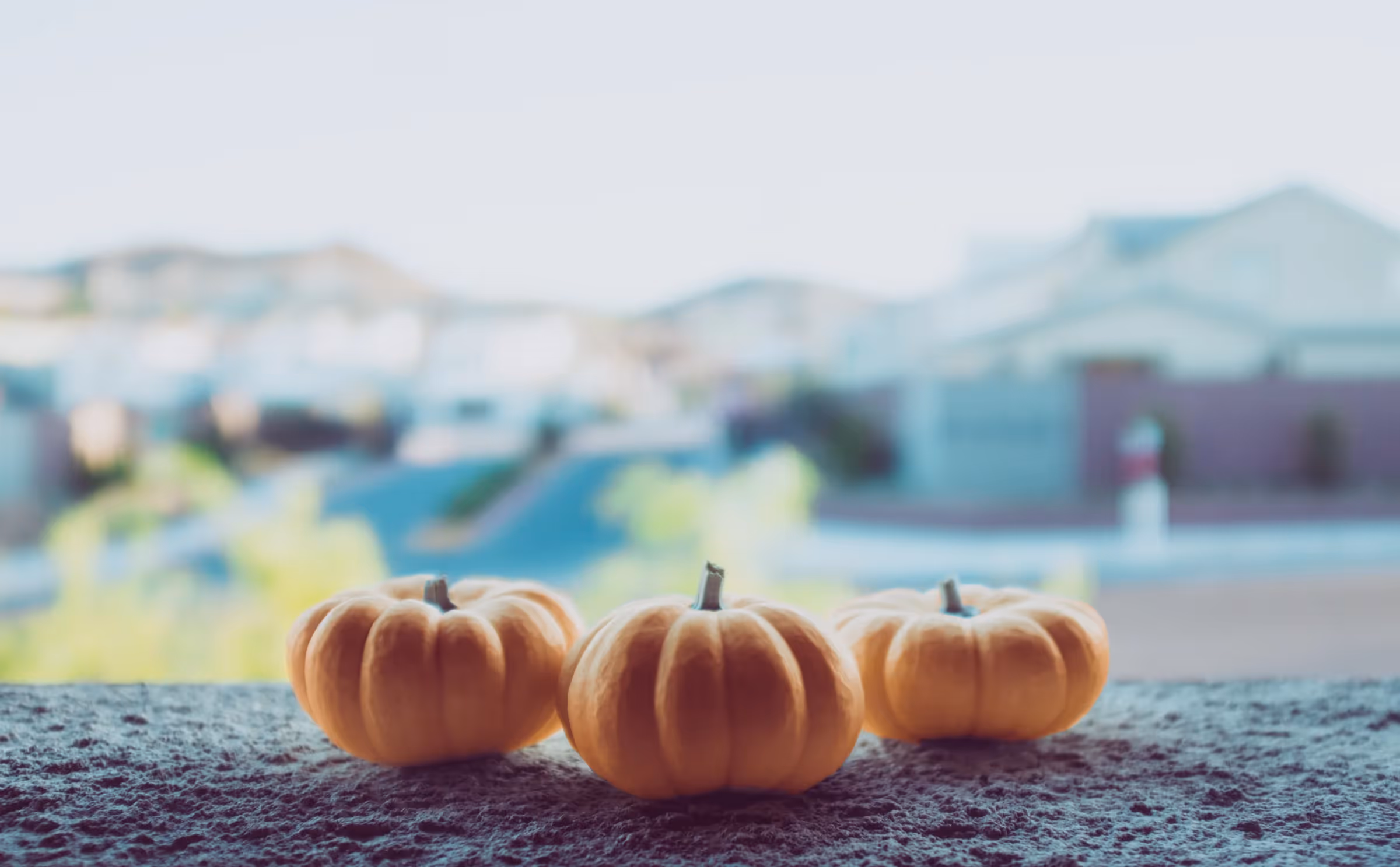 How do Christians handle Halloween?